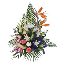 鲜花XH014
