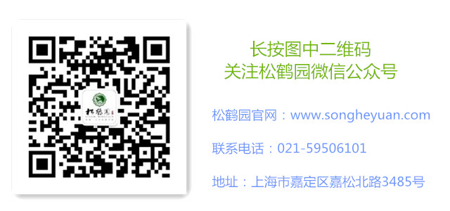 线上缴纳维护费功能正式开通!!!