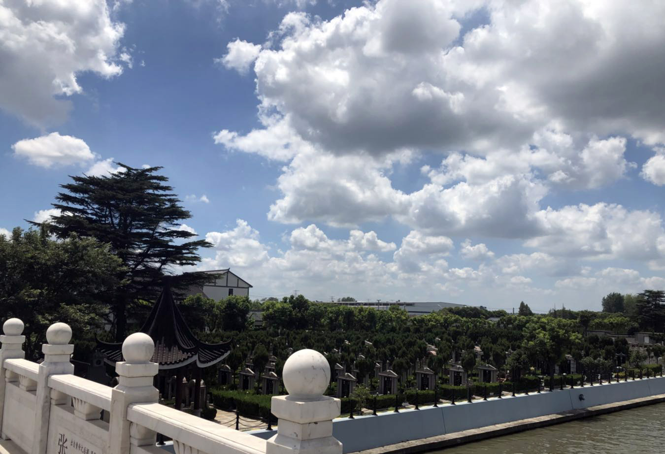 松鹤的天空