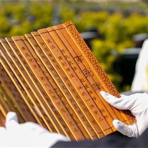 礼仪服务--福佑千秋-图集-6