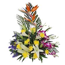 鲜花XH012