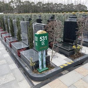 531区-图集-3